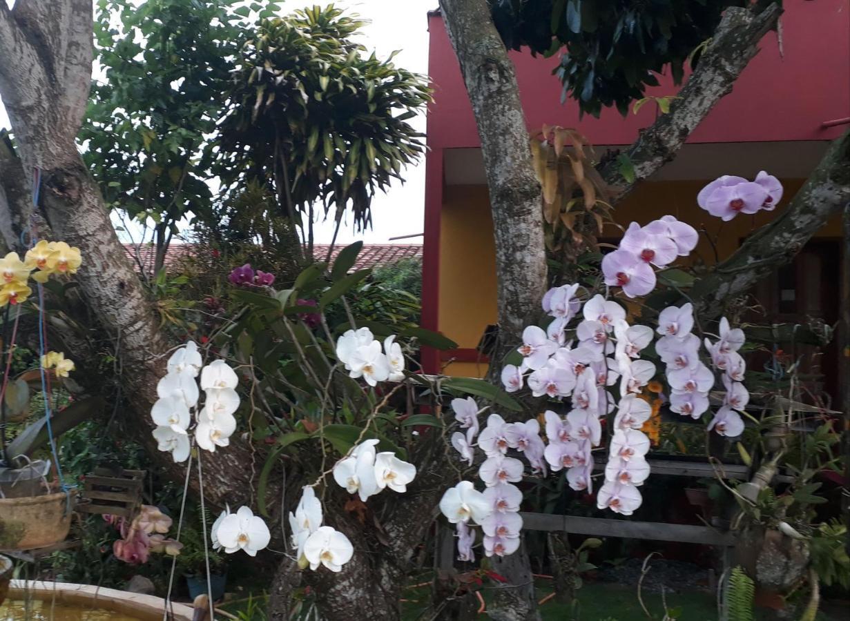 Pousada Bromelias - Suites E Aptos Nova Viçosa Εξωτερικό φωτογραφία